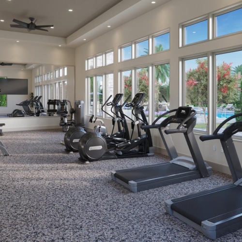 a room with treadmills and windows